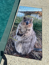 Load image into Gallery viewer, Rottnest Quokka