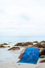 Load image into Gallery viewer, Exmouth Whale Shark