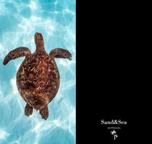 Load image into Gallery viewer, Coral Bay Turtle