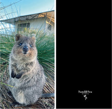 Load image into Gallery viewer, Rottnest Quokka
