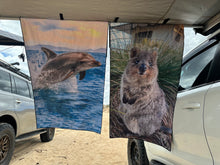 Load image into Gallery viewer, Port Macquarie Dolphin
